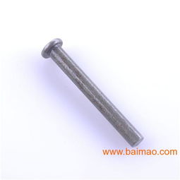 定做加工優(yōu)質(zhì)不銹鋼鉚釘 支持定做,定做加工優(yōu)質(zhì)不銹鋼鉚釘 支持定做生產(chǎn)廠家,定做加工優(yōu)質(zhì)不銹鋼鉚釘 支持定做價格